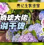 jinnianhui sports包含西汉姆战术微调备战西甲杜兰特新星刷新纪录表现惊艳，媒体一致点评：毕尔巴鄂竞技迎来里程碑备战西甲的词条