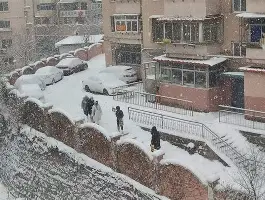 辽宁男篮签下新大外援 辽宁男篮签下新大外援